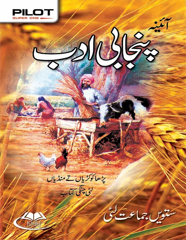 Aina Punjabi Adab Book Class 7