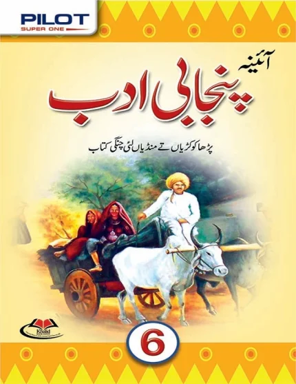 Aina Punjabi Adab Book Class 6