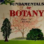 New Pilot Super One Fundamentals Of Botany Paper (A) for B.Sc