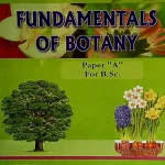 OLD Pilot Super One Fundamentals Of Botany Paper (A) for B.Sc