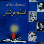 Pilot Super One Nazam-o-Nasar Cambridge University