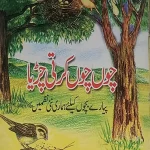 Pilot Super One Children's Story Book Chu Chu Karti Chiriya