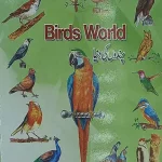 Pilot Super One Children'S Book Birds World