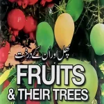 Pilot Fruits & Their Trees