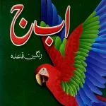 Pilot Super One Alif Bay Jeem Rangeen Qaida Urdu