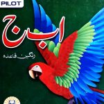 Pilot Alif Bay Jeem Rangeen Quaida
