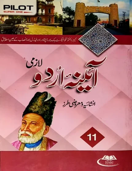 Pilot Super One Aina Urdu Lazmi Inshaia Maroozi Class 11
