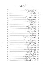 Dhup ka Rang Gulabi azia by Ahamas Azad - Image 2